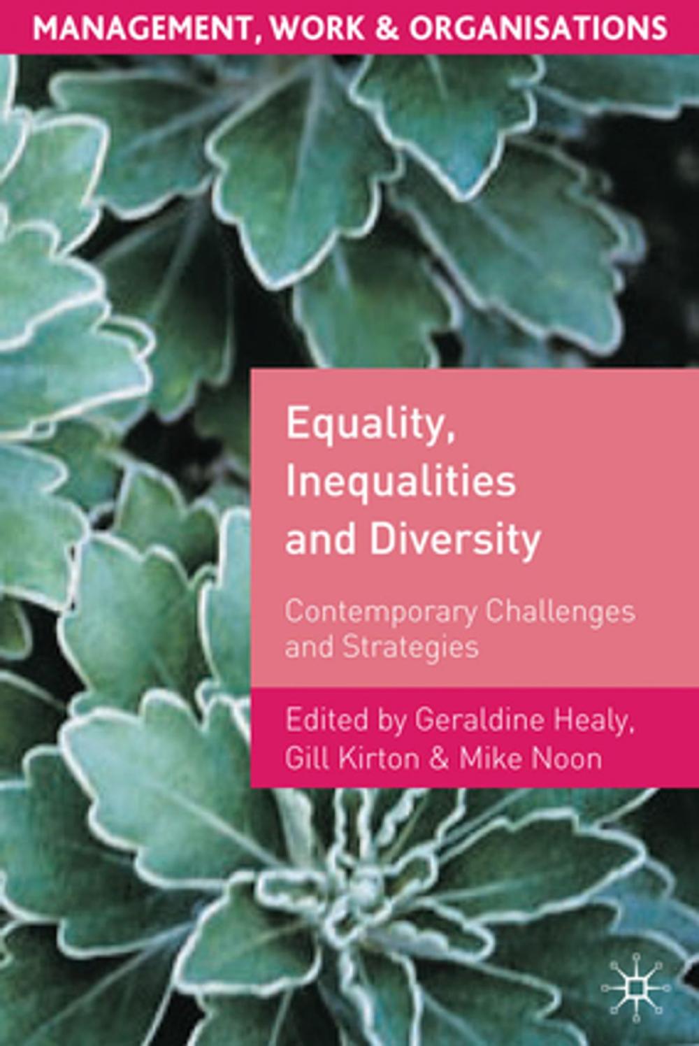 Big bigCover of Equality, Inequalities and Diversity