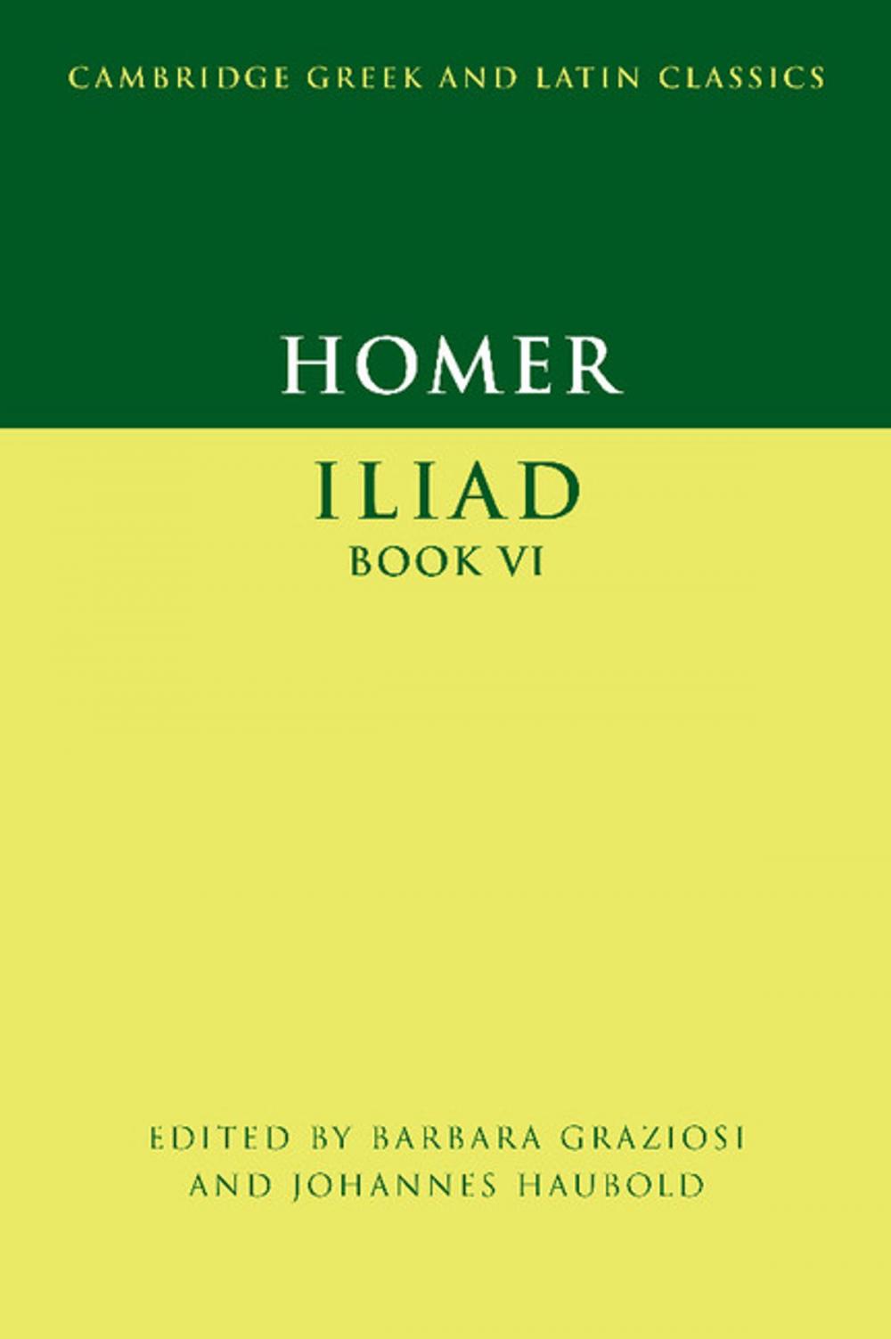 Big bigCover of Homer: Iliad Book VI