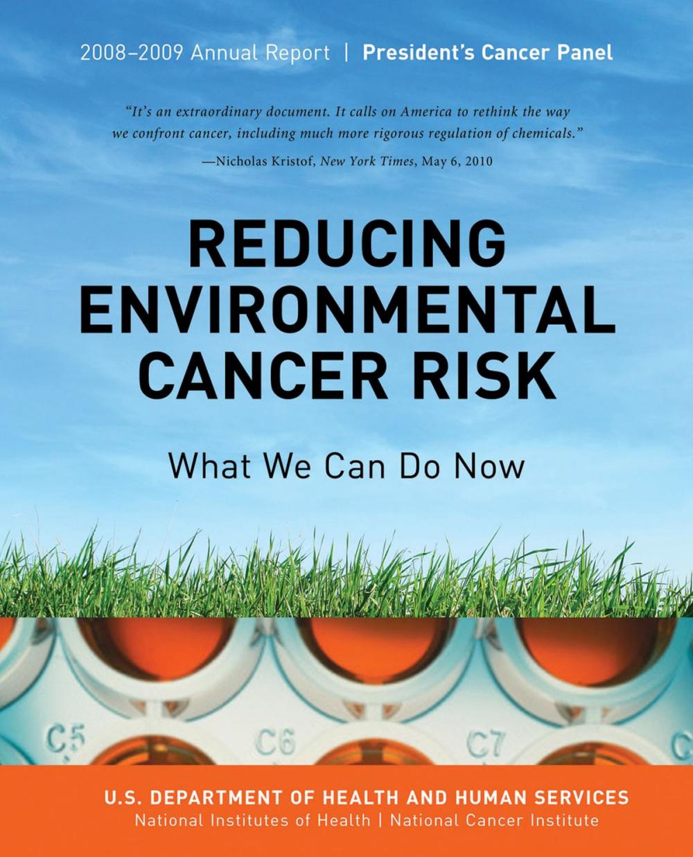 Big bigCover of Reducing Environmental Cancer Risk: What We Can Do Now