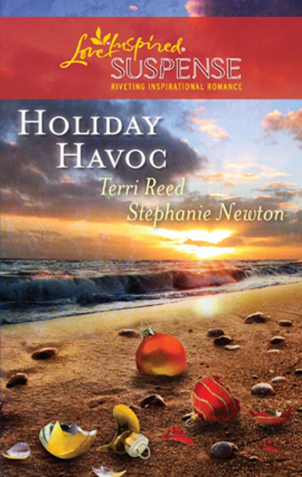 Big bigCover of Holiday Havoc