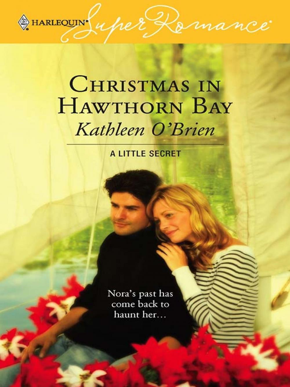 Big bigCover of Christmas in Hawthorn Bay