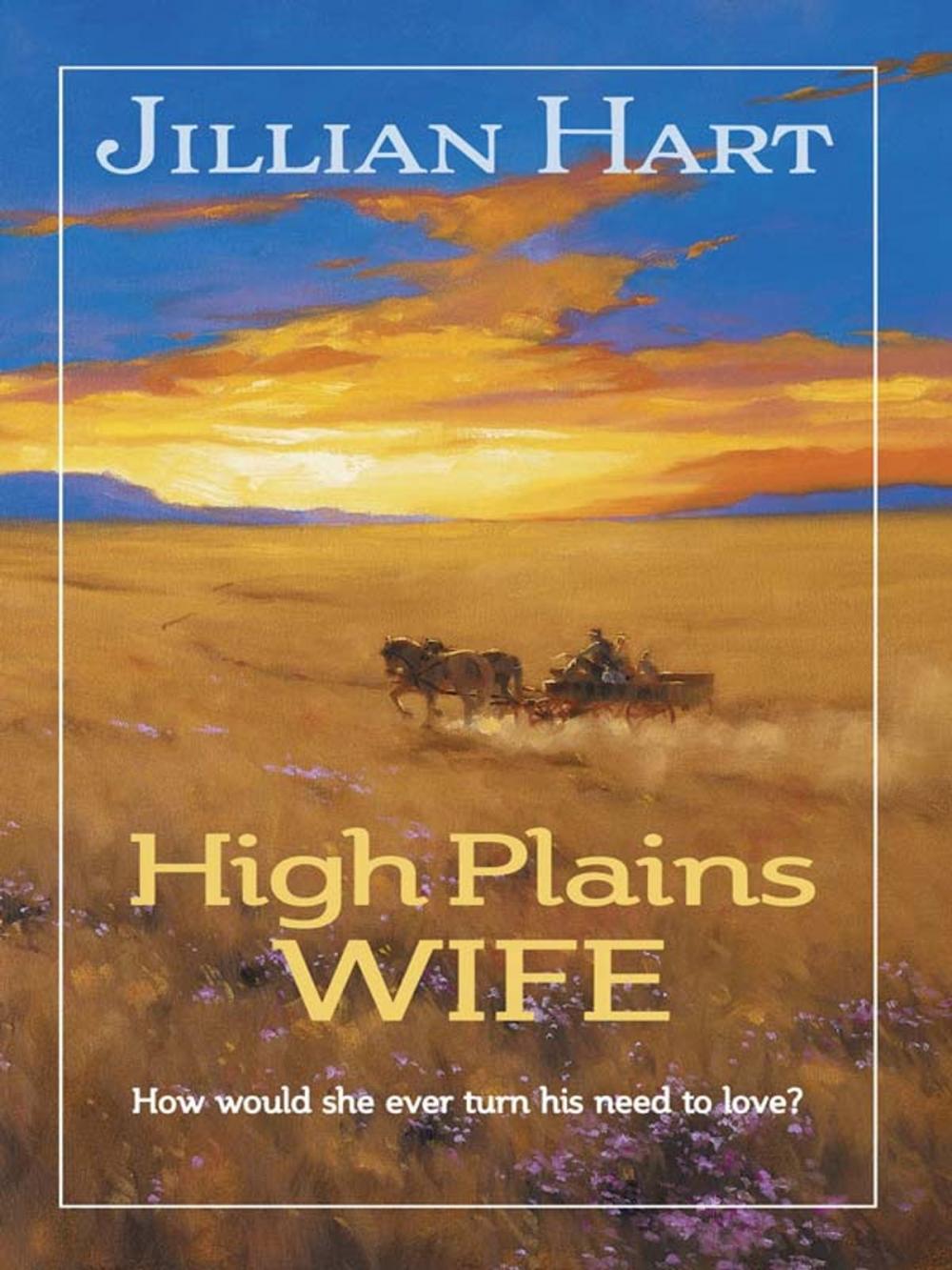 Big bigCover of High Plains Wife