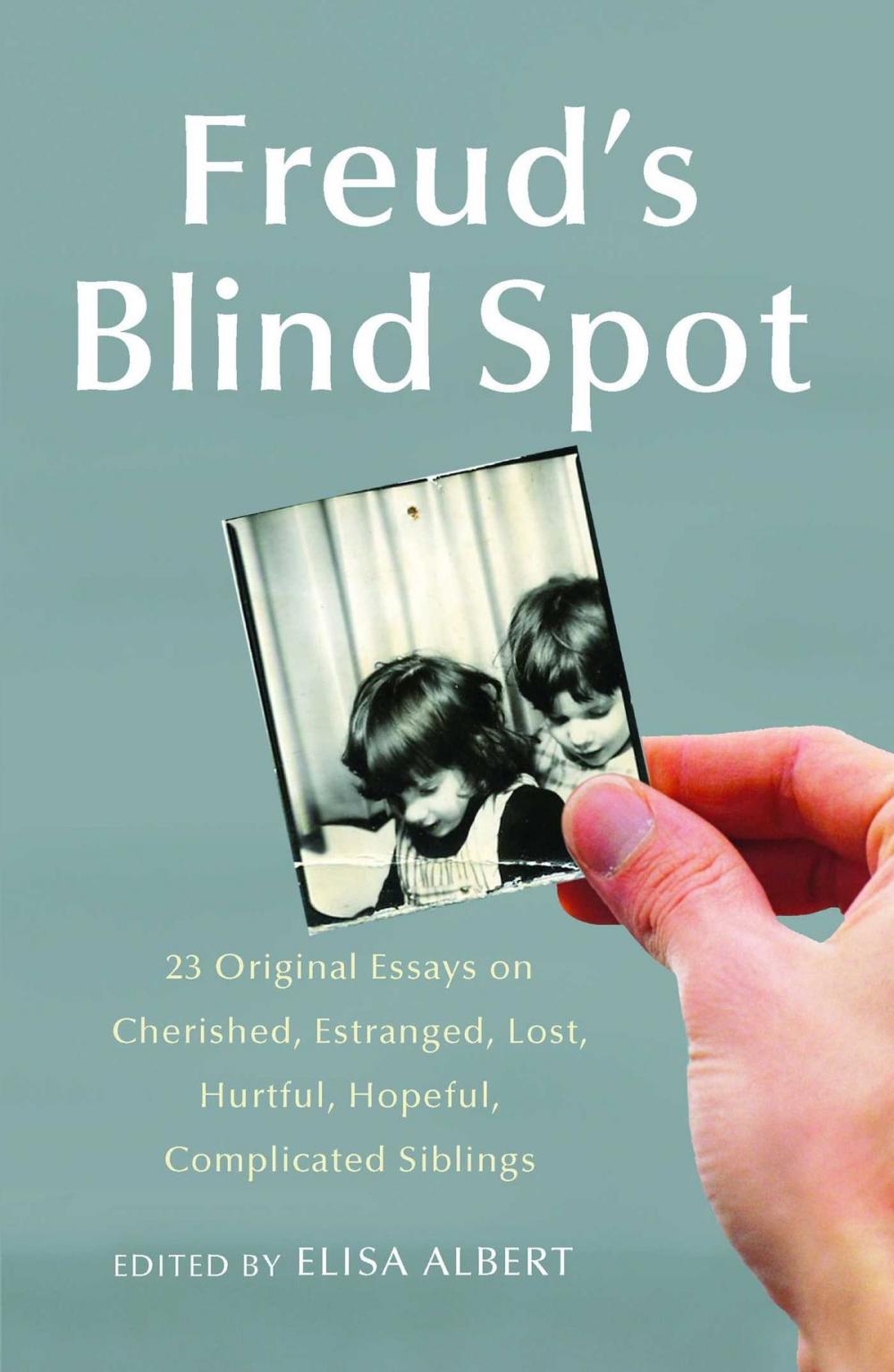 Big bigCover of Freud's Blind Spot