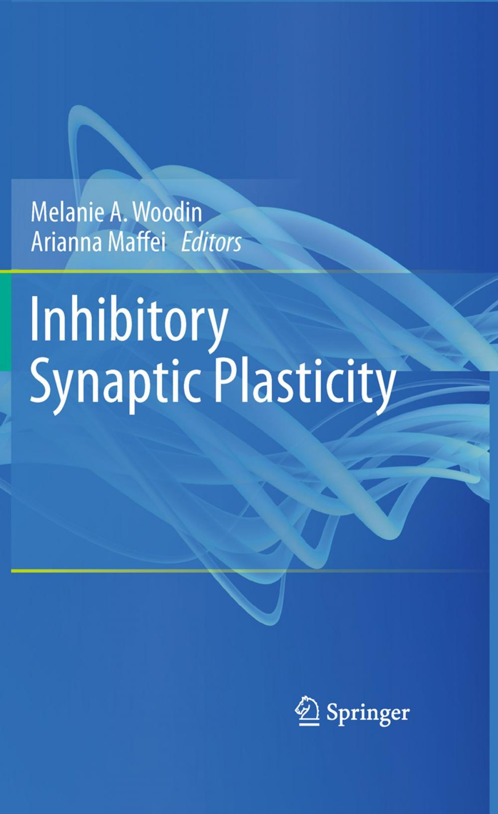 Big bigCover of Inhibitory Synaptic Plasticity