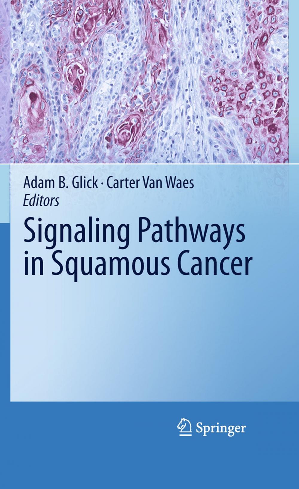 Big bigCover of Signaling Pathways in Squamous Cancer