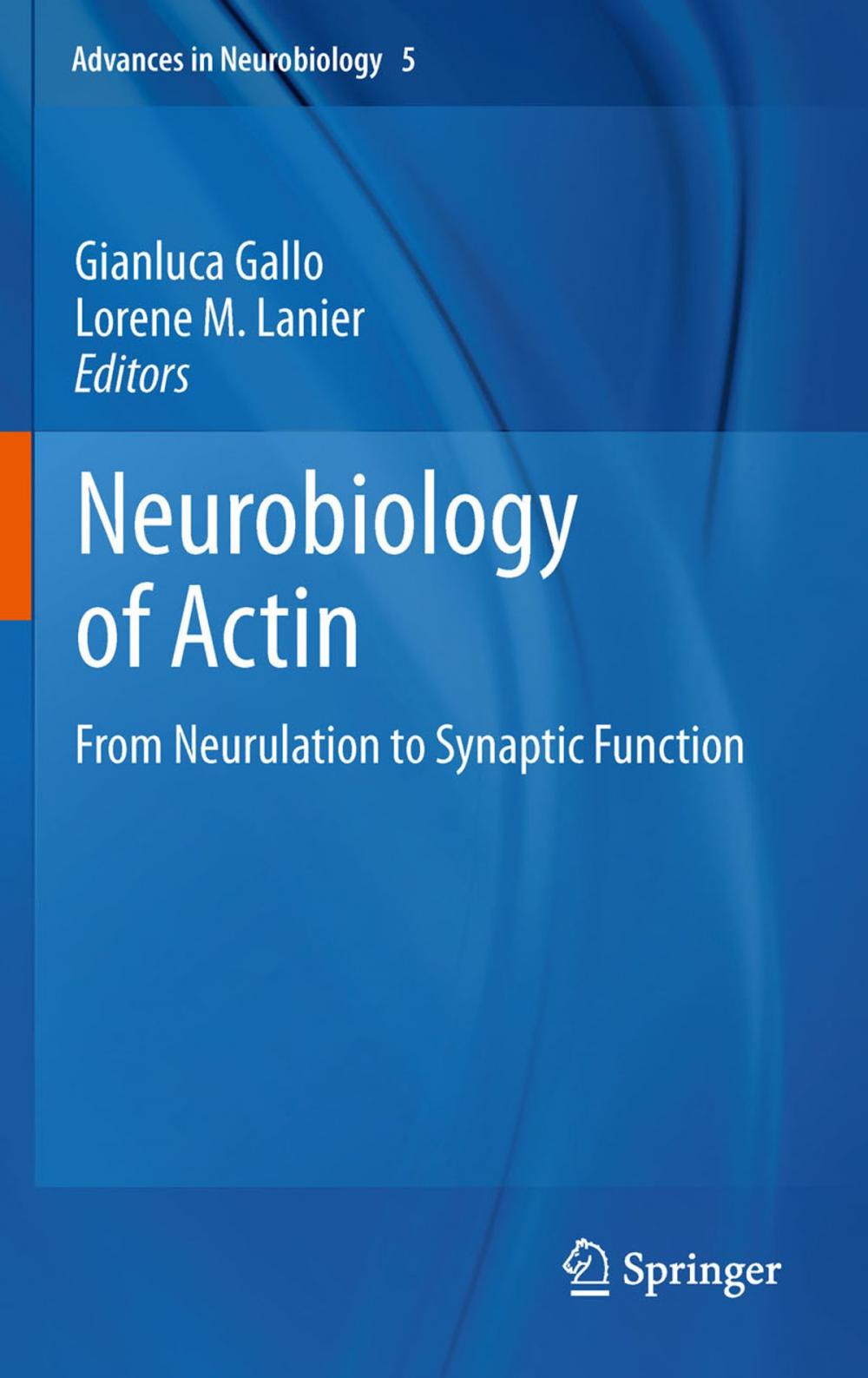 Big bigCover of Neurobiology of Actin