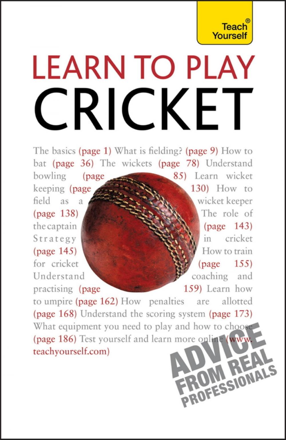 Big bigCover of Learn to Play Cricket: Teach Yourself