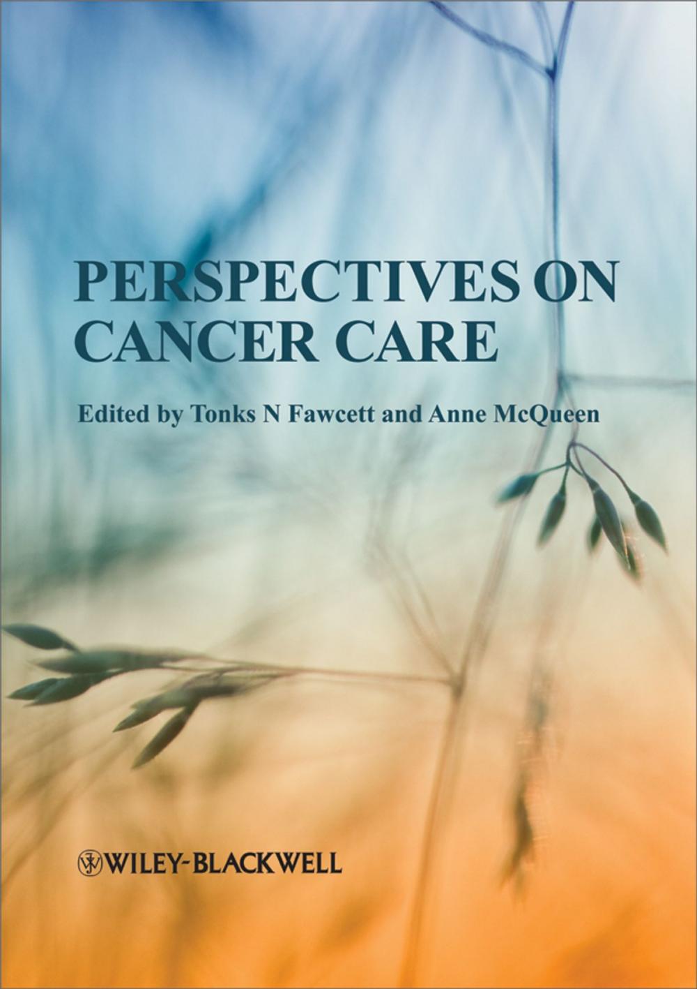 Big bigCover of Perspectives on Cancer Care