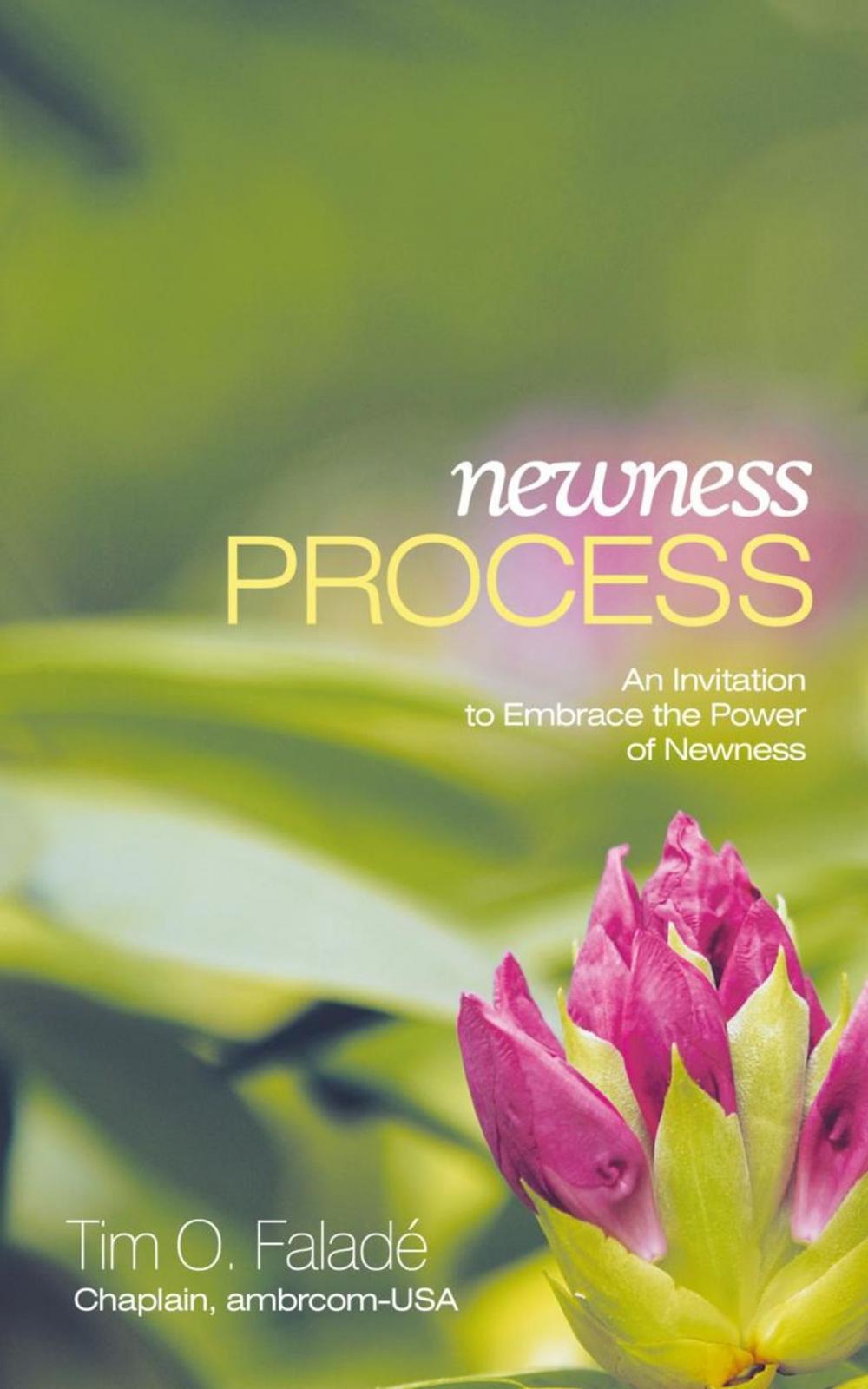 Big bigCover of Newness Process