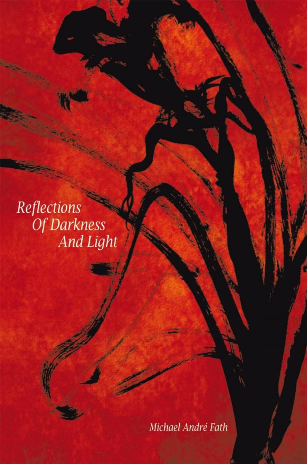 Big bigCover of Reflections of Darkness and Light