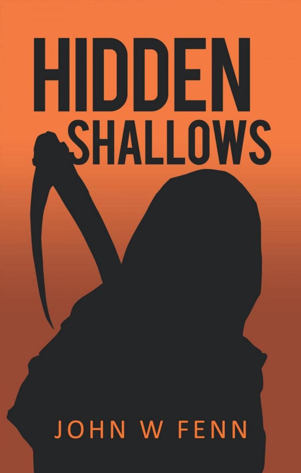 Big bigCover of Hidden Shallows