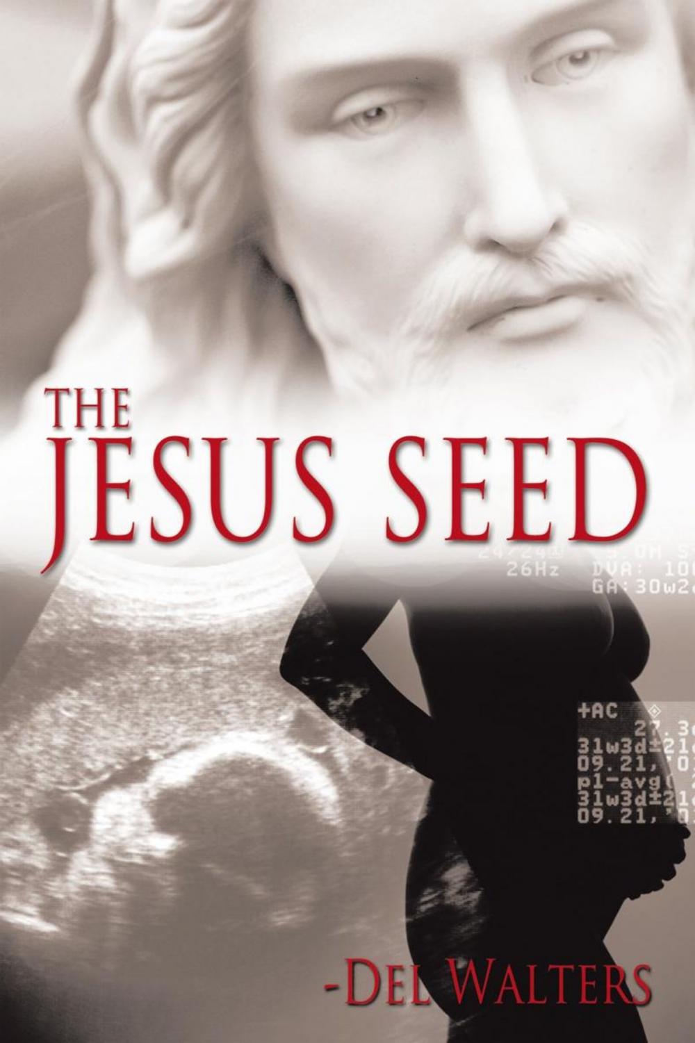Big bigCover of The Jesus Seed