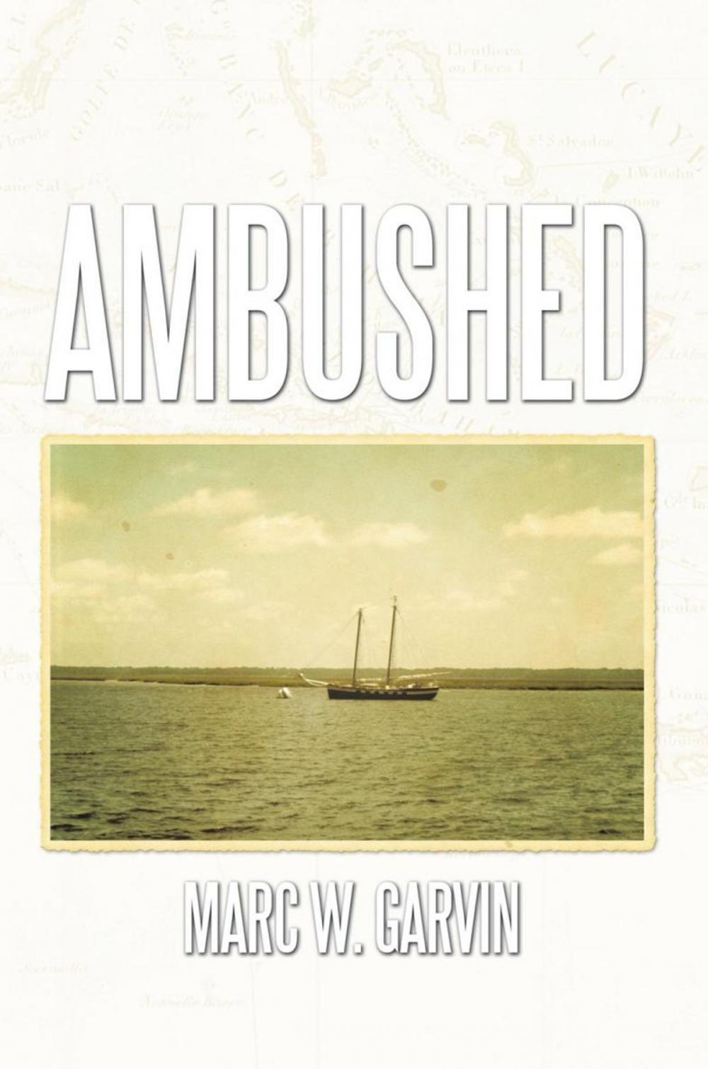 Big bigCover of Ambushed