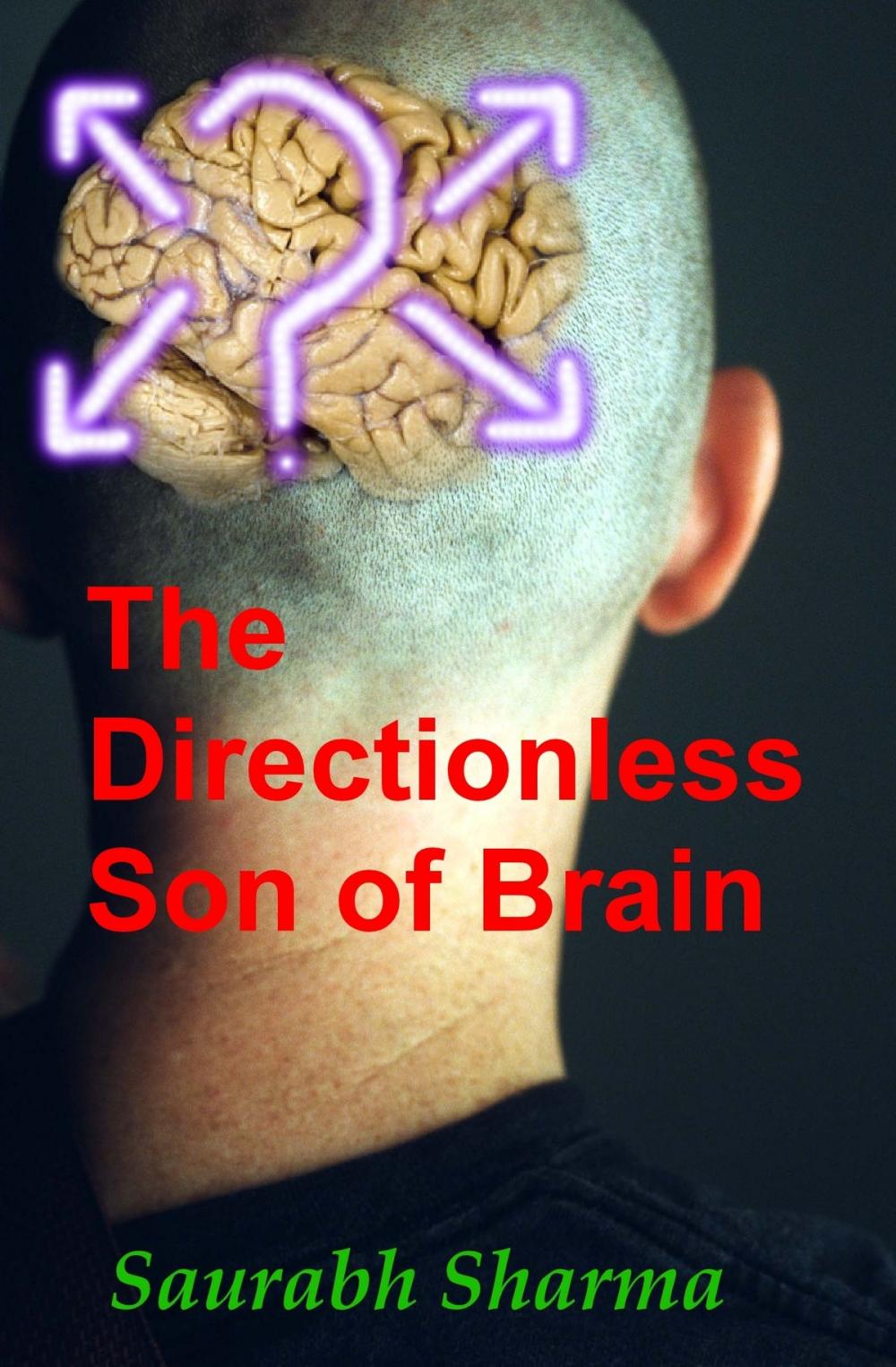 Big bigCover of The Directionless Son of Brain