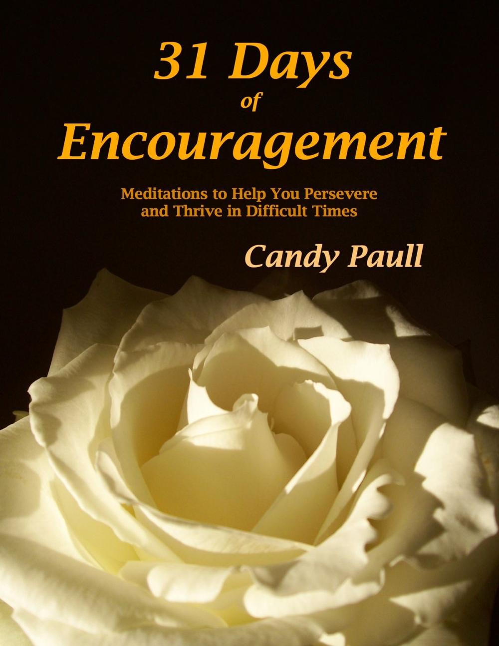 Big bigCover of 31 Days of Encouragement: Meditations to Help You Persevere and Thrive in Difficult Times