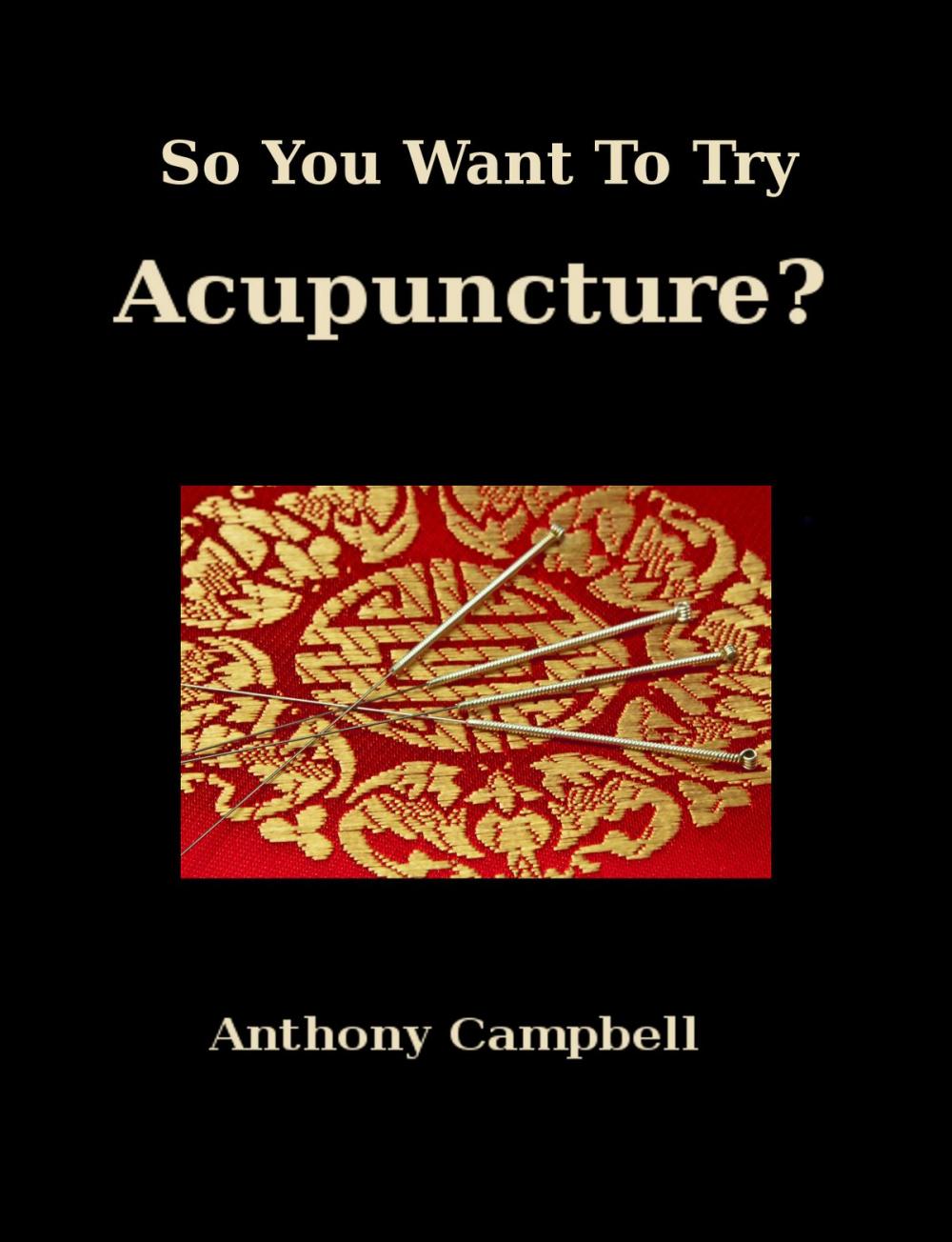 Big bigCover of So You Want To Try Acupuncture?