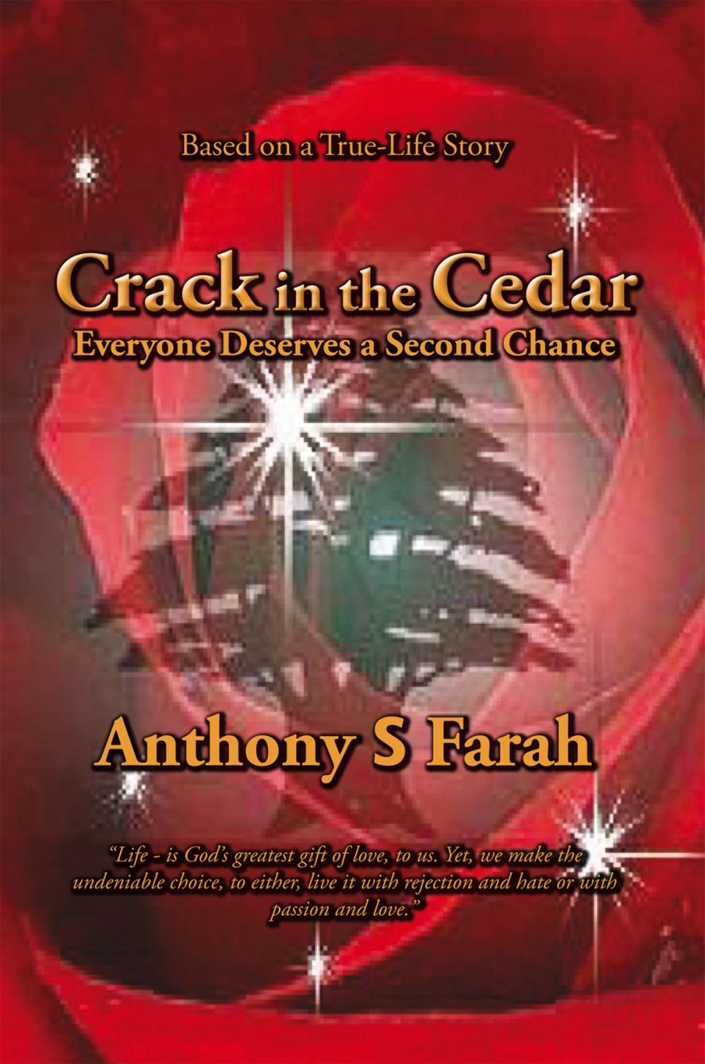 Big bigCover of Crack in the Cedar