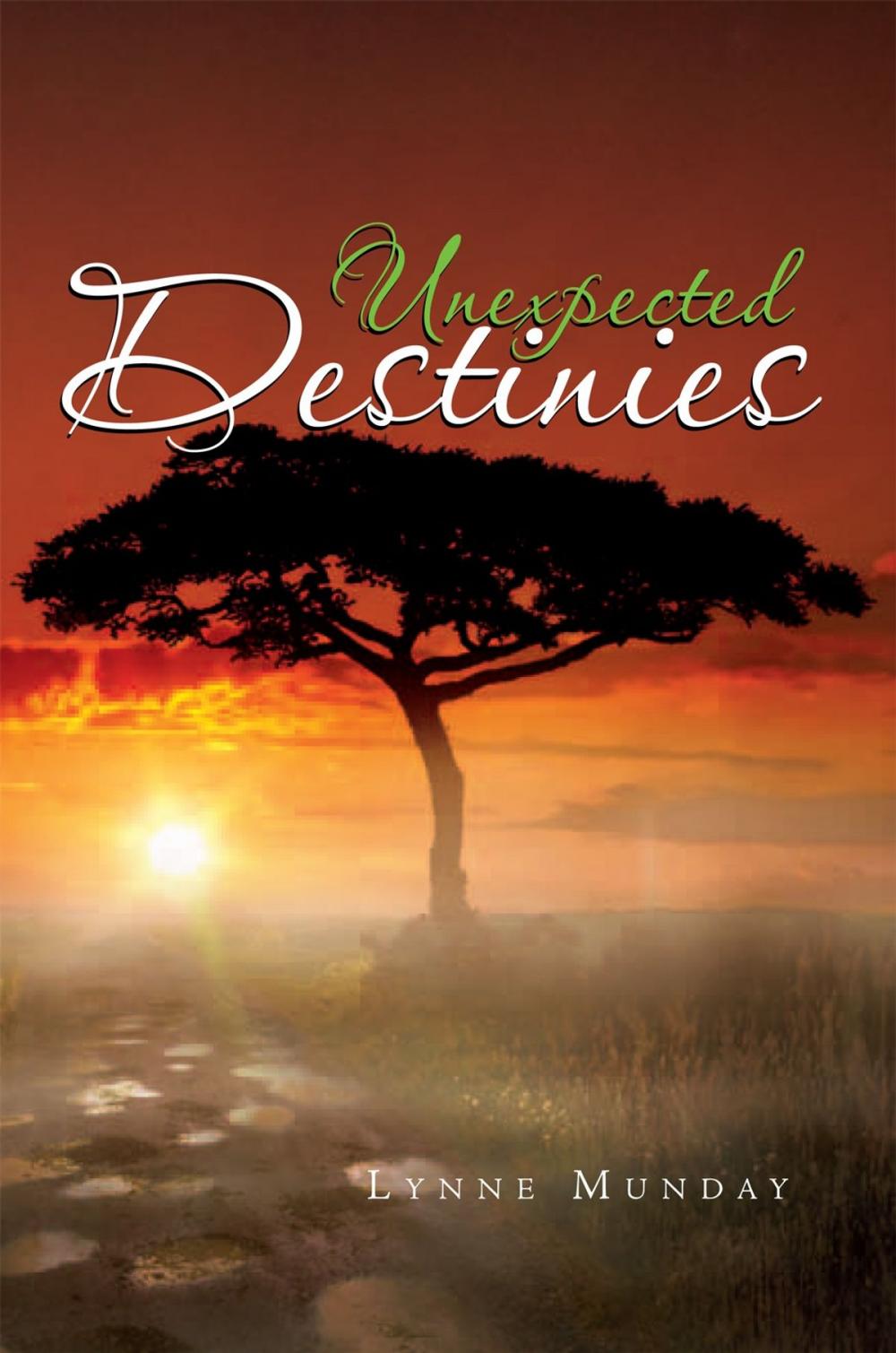 Big bigCover of Unexpected Destinies