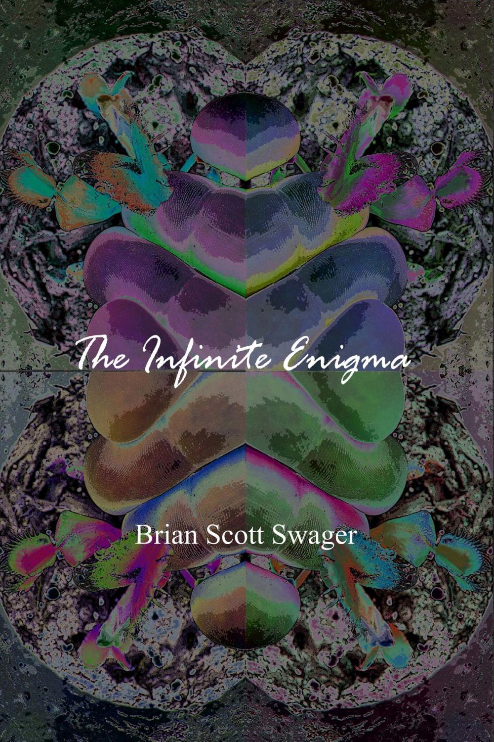 Big bigCover of The Infinite Enigma