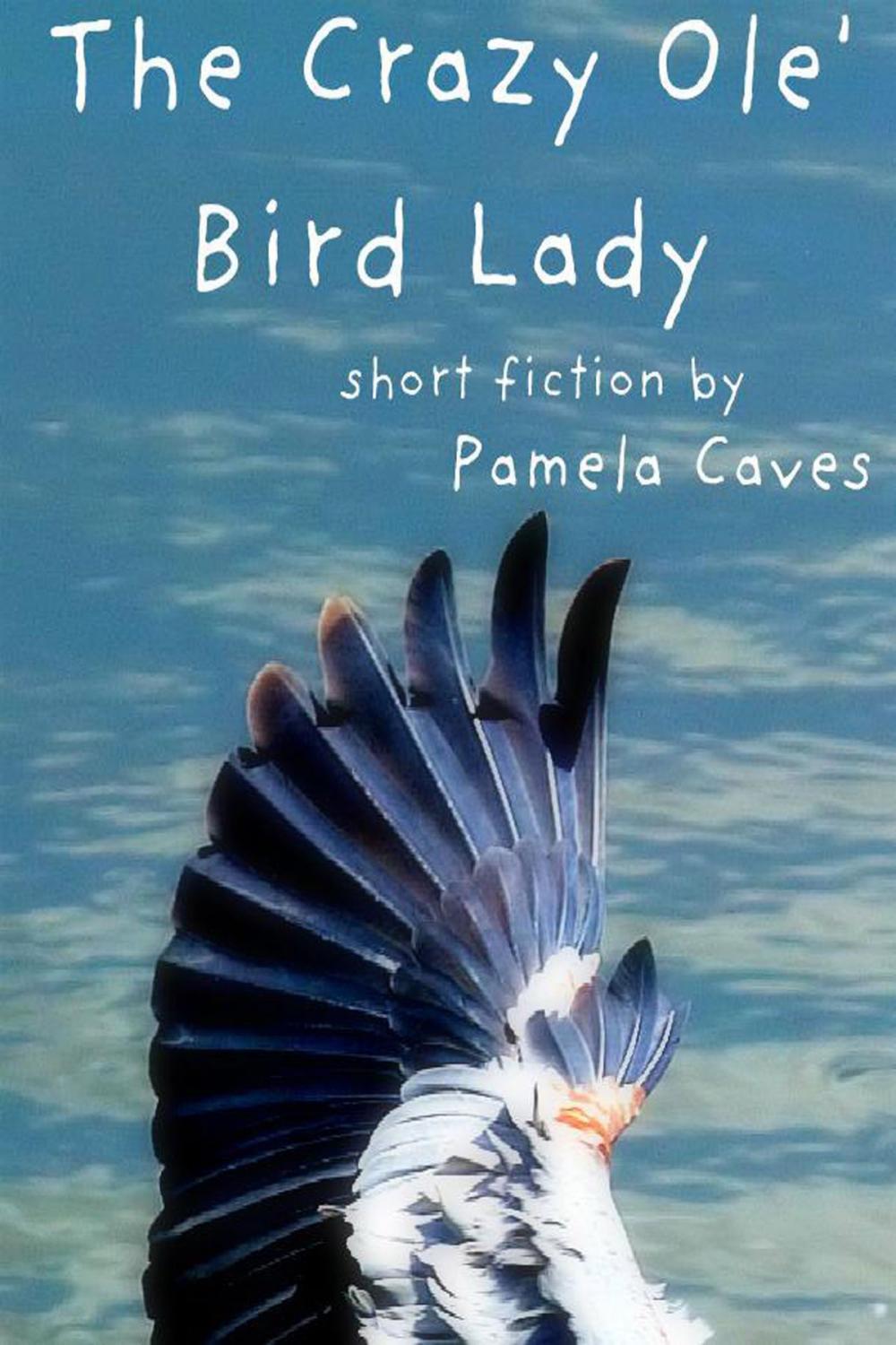 Big bigCover of The Crazy Ole' Bird Lady