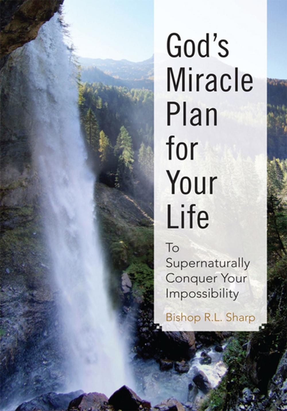 Big bigCover of God's Miracle Plan for Your Life