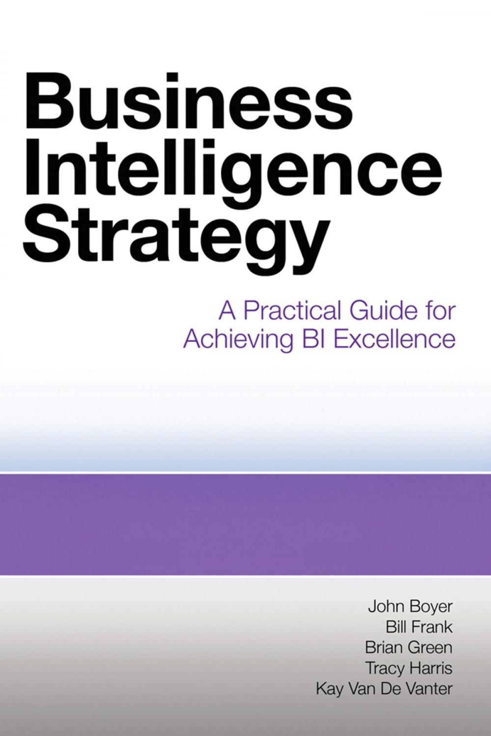 Big bigCover of Business Intelligence Strategy