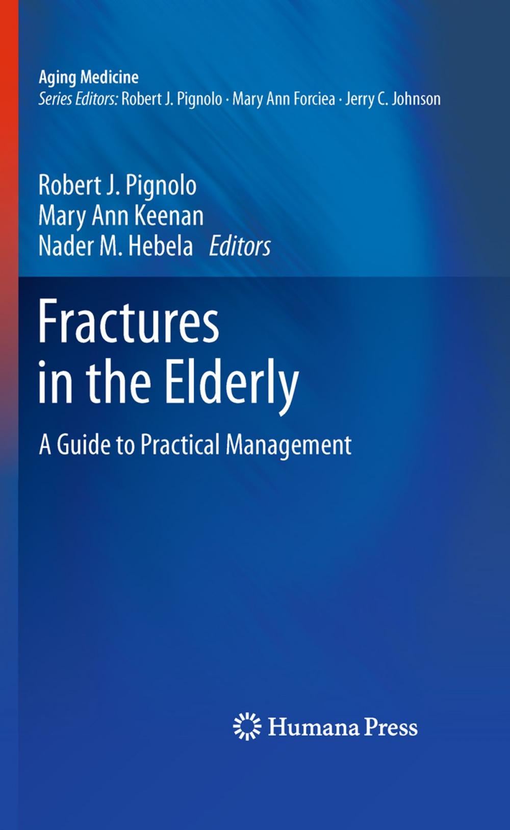 Big bigCover of Fractures in the Elderly