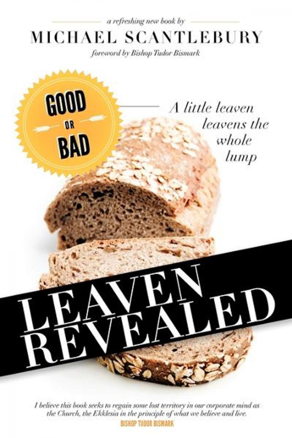 Big bigCover of Leaven Revealed