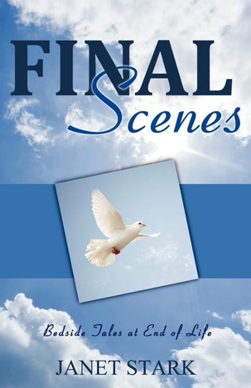 Big bigCover of Final Scenes: Bedside Tales at End of Life