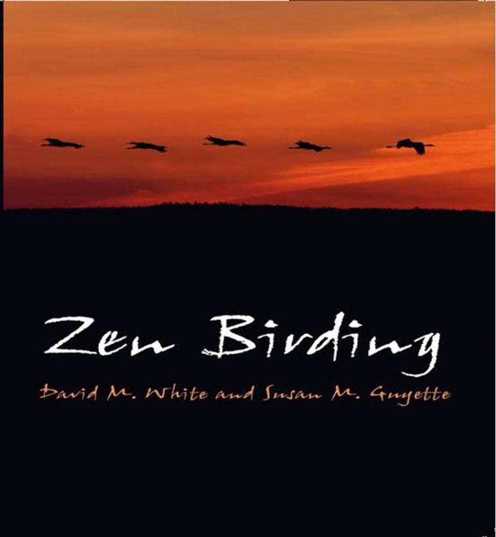 Big bigCover of Zen Birding