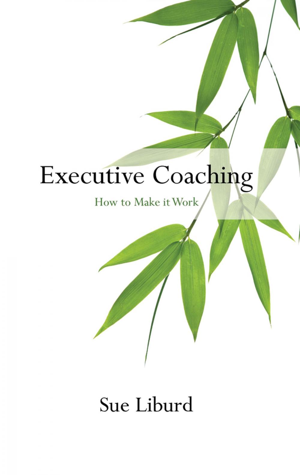 Big bigCover of Executive Coaching