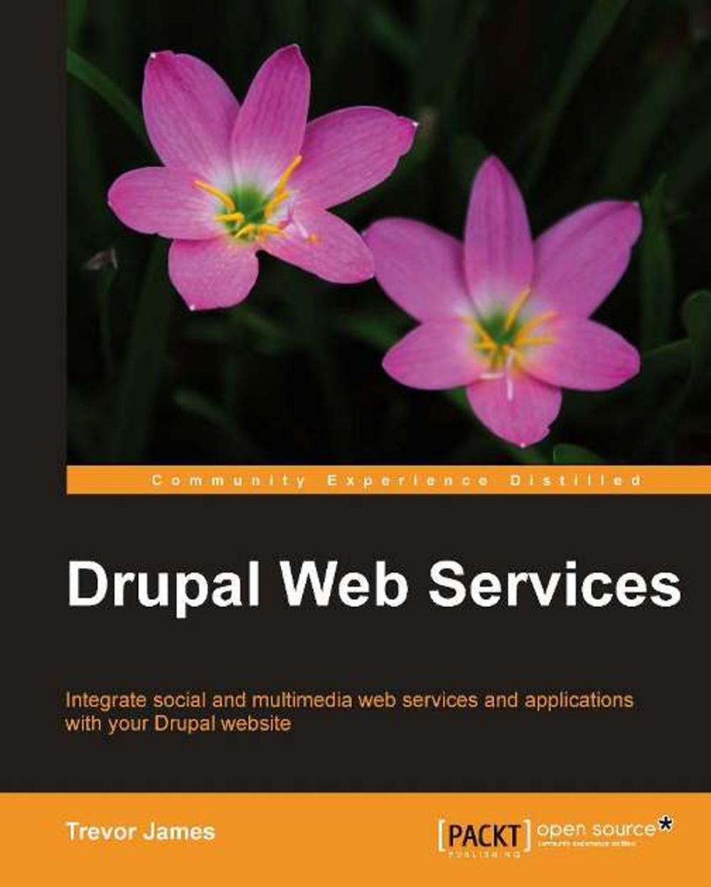 Big bigCover of Drupal Web Services