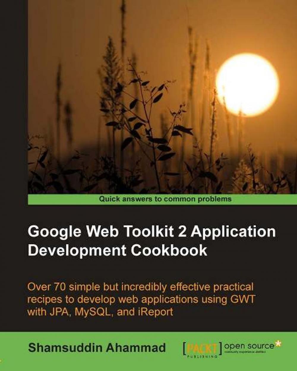 Big bigCover of Google Web Toolkit 2 Application Development Cookbook