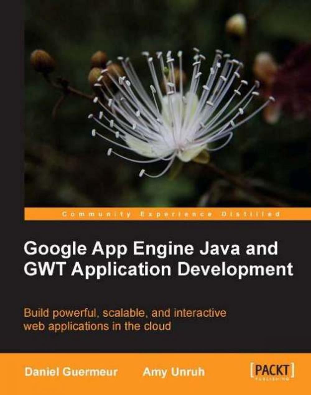 Big bigCover of Google App Engine Java and GWT Application Development