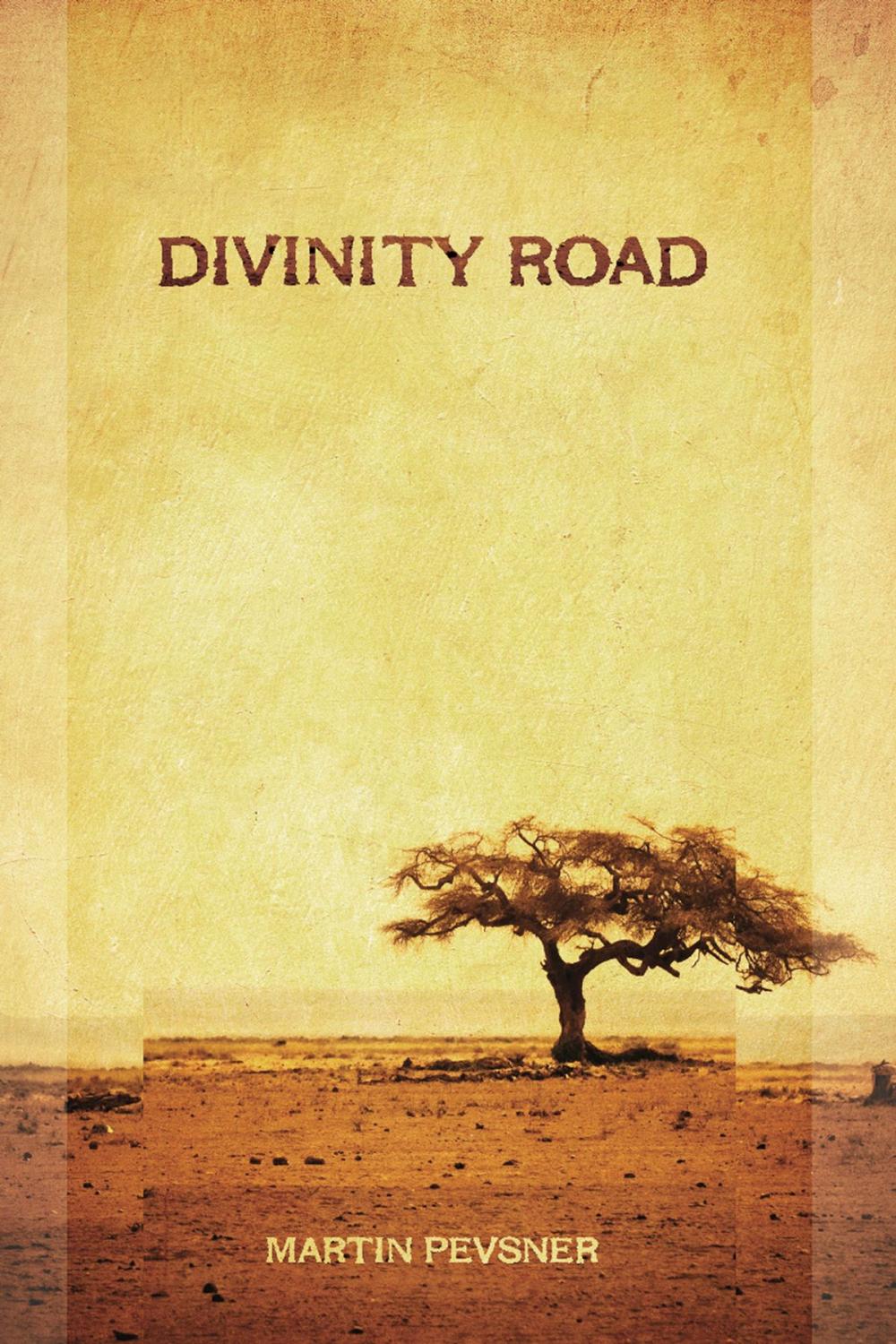 Big bigCover of Divinity Road