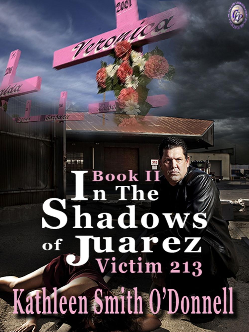 Big bigCover of IN THE SHADOWS OF JUAREZ: VICTIM 213 Book II