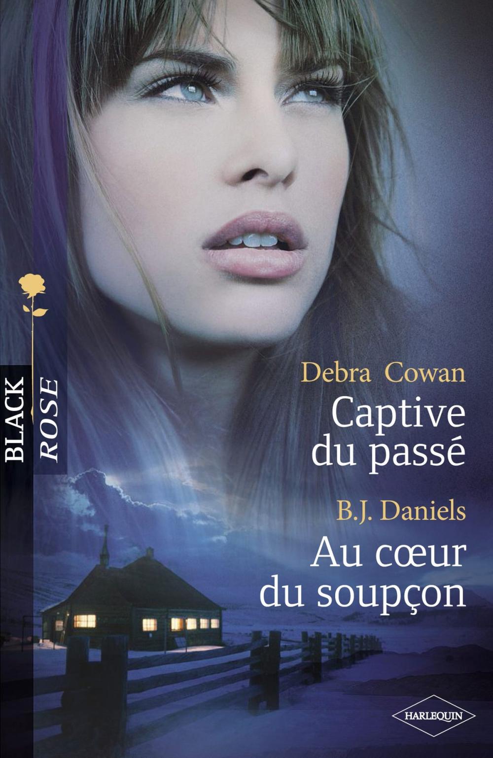 Big bigCover of Captive du passé - Au coeur du soupçon (Harlequin Black Rose)