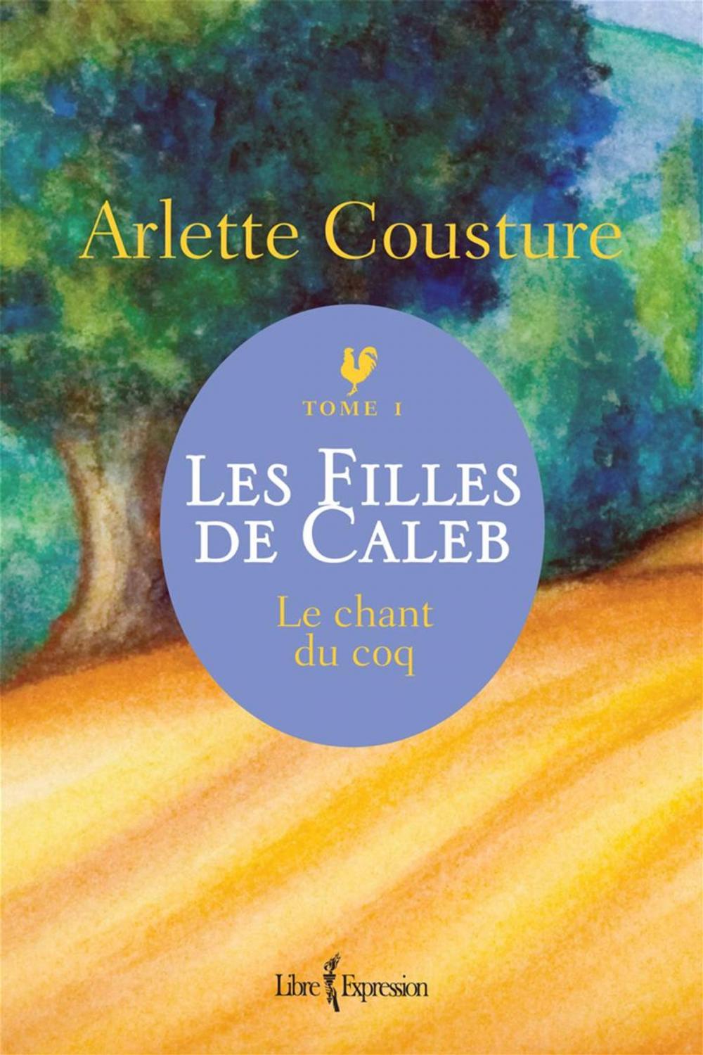 Big bigCover of Les Filles de Caleb - Tome 1