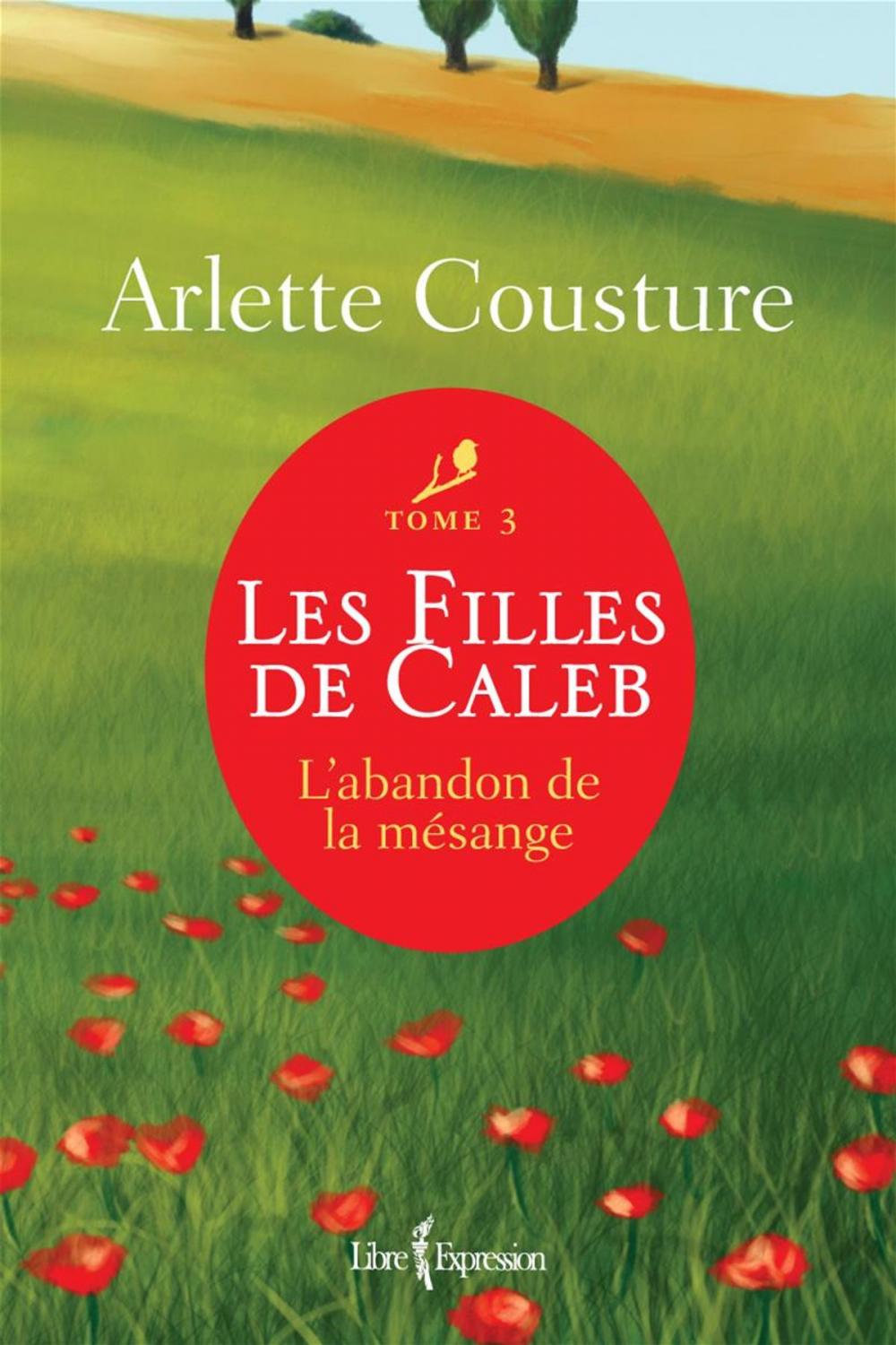 Big bigCover of Les Filles de Caleb - Tome 3