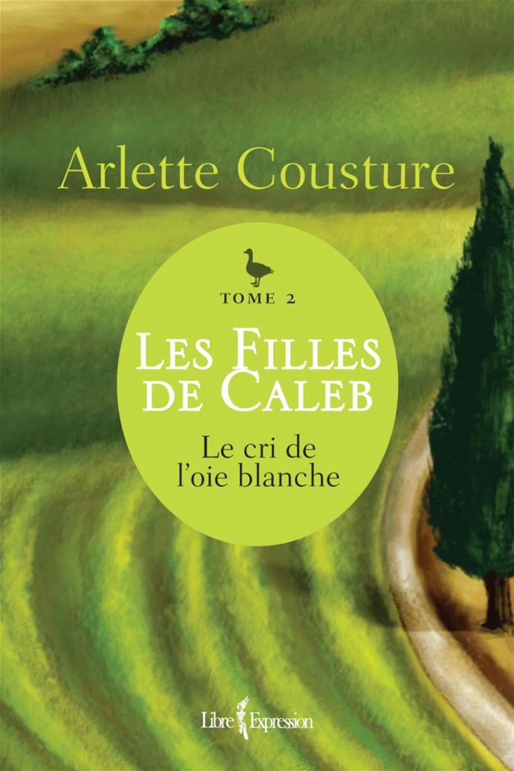 Big bigCover of Les Filles de Caleb - Tome 2