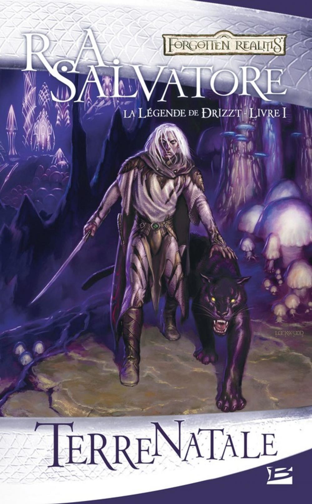 Big bigCover of Terre Natale: La Légende de Drizzt, T1