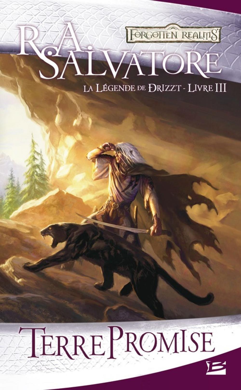 Big bigCover of Terre promise: La Légende de Drizzt, T3