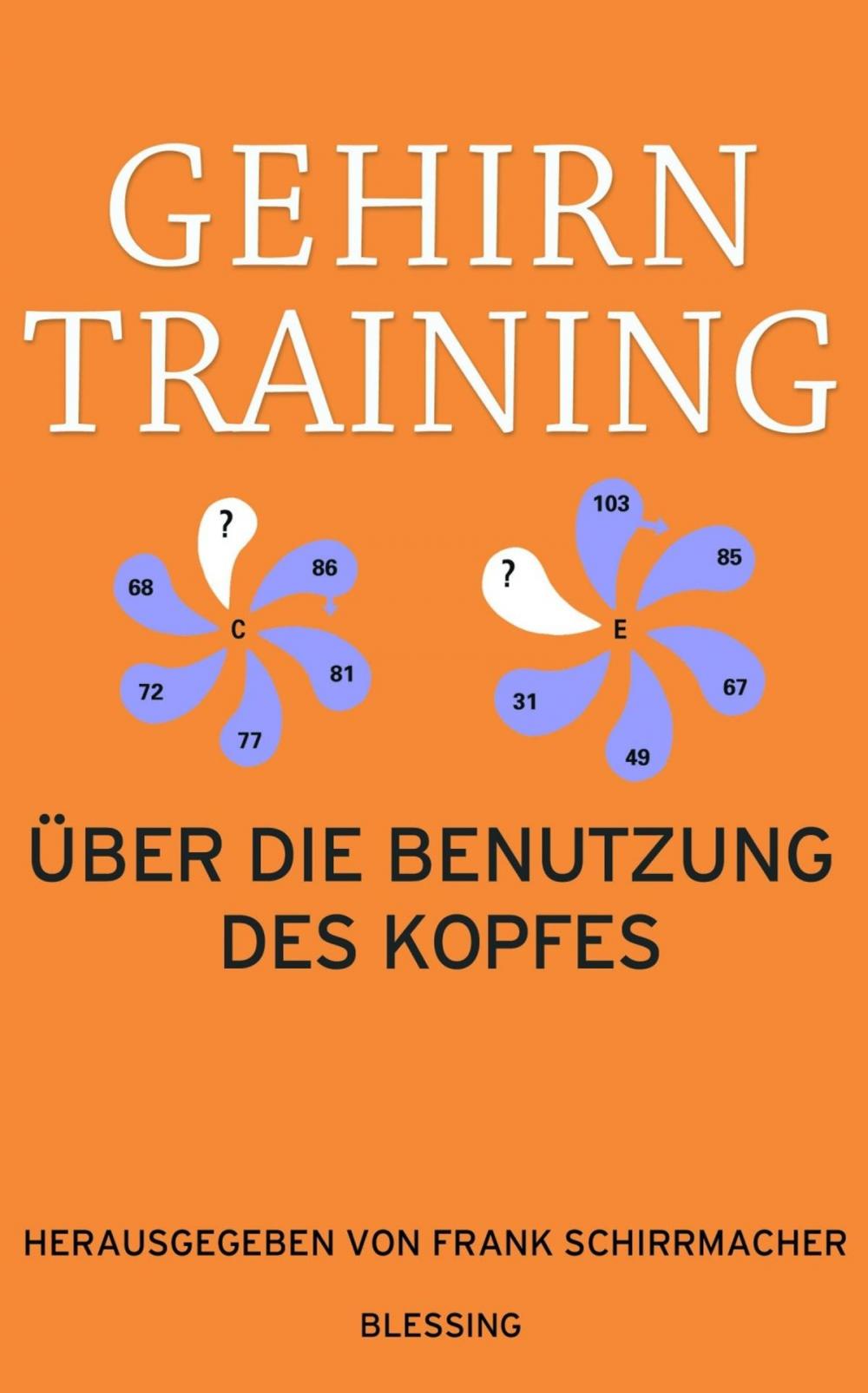 Big bigCover of Gehirntraining