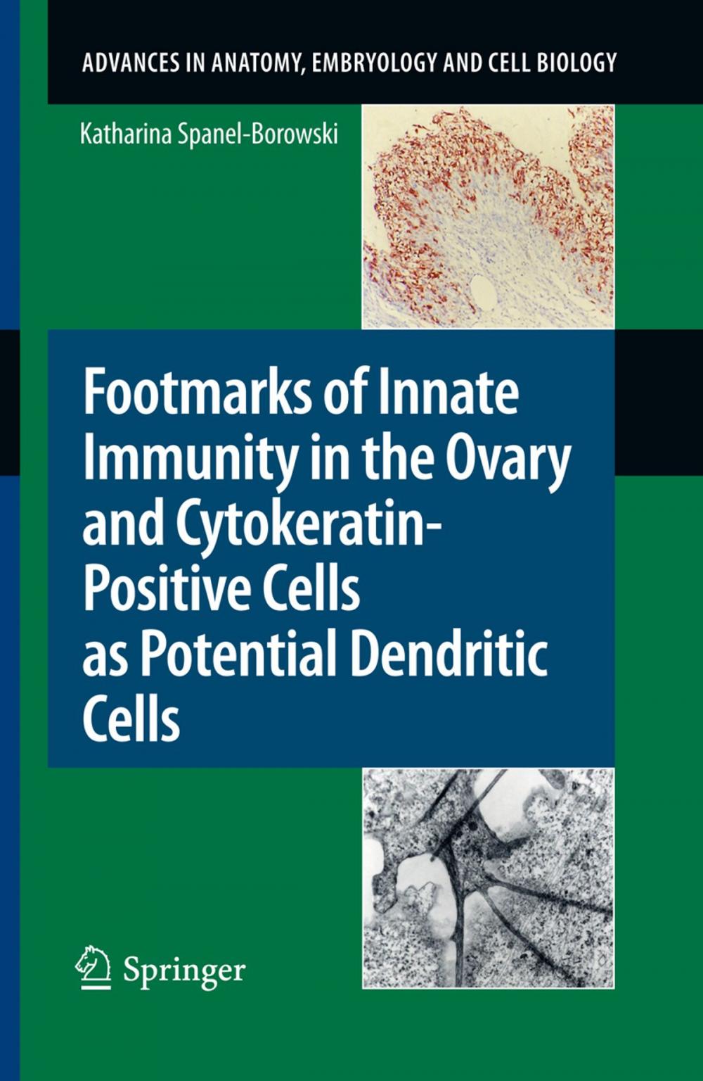 Big bigCover of Footmarks of Innate Immunity in the Ovary and Cytokeratin-Positive Cells as Potential Dendritic Cells