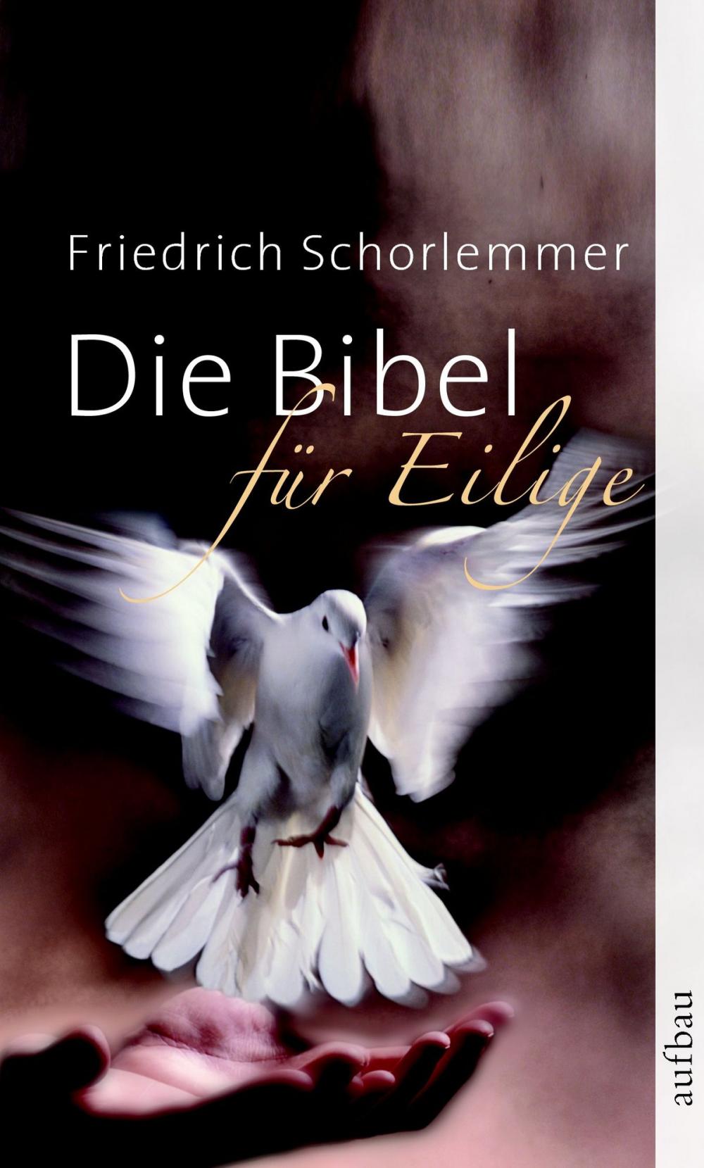 Big bigCover of Die Bibel für Eilige