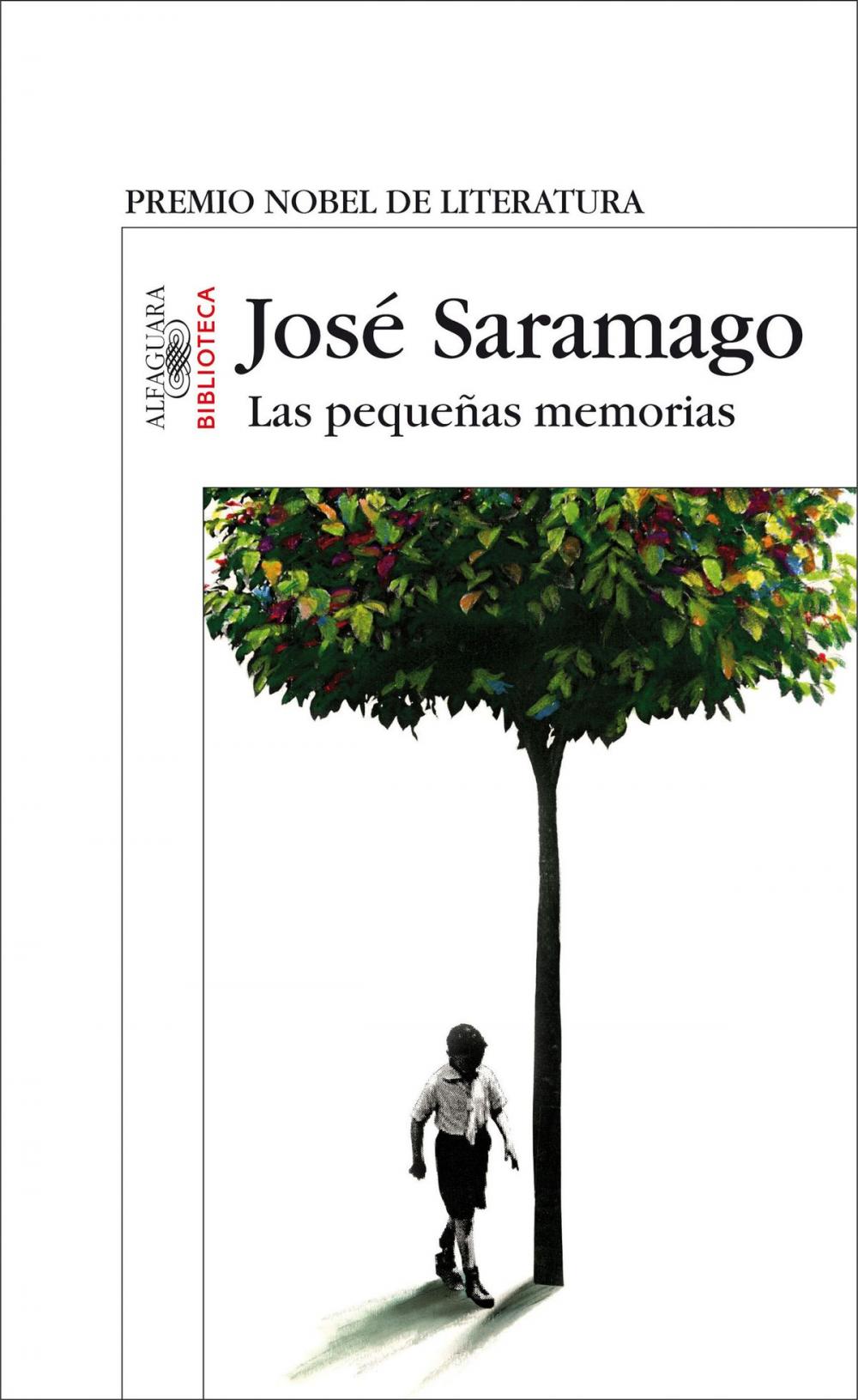 Big bigCover of Las pequeñas memorias