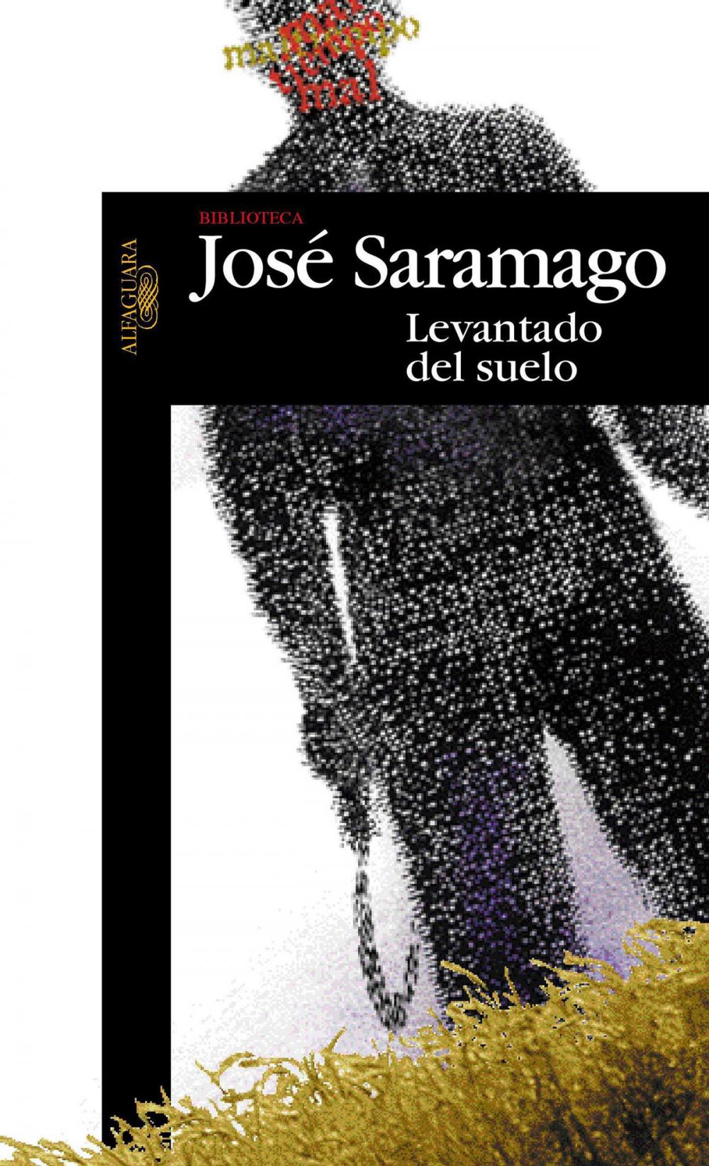 Big bigCover of Levantado del suelo