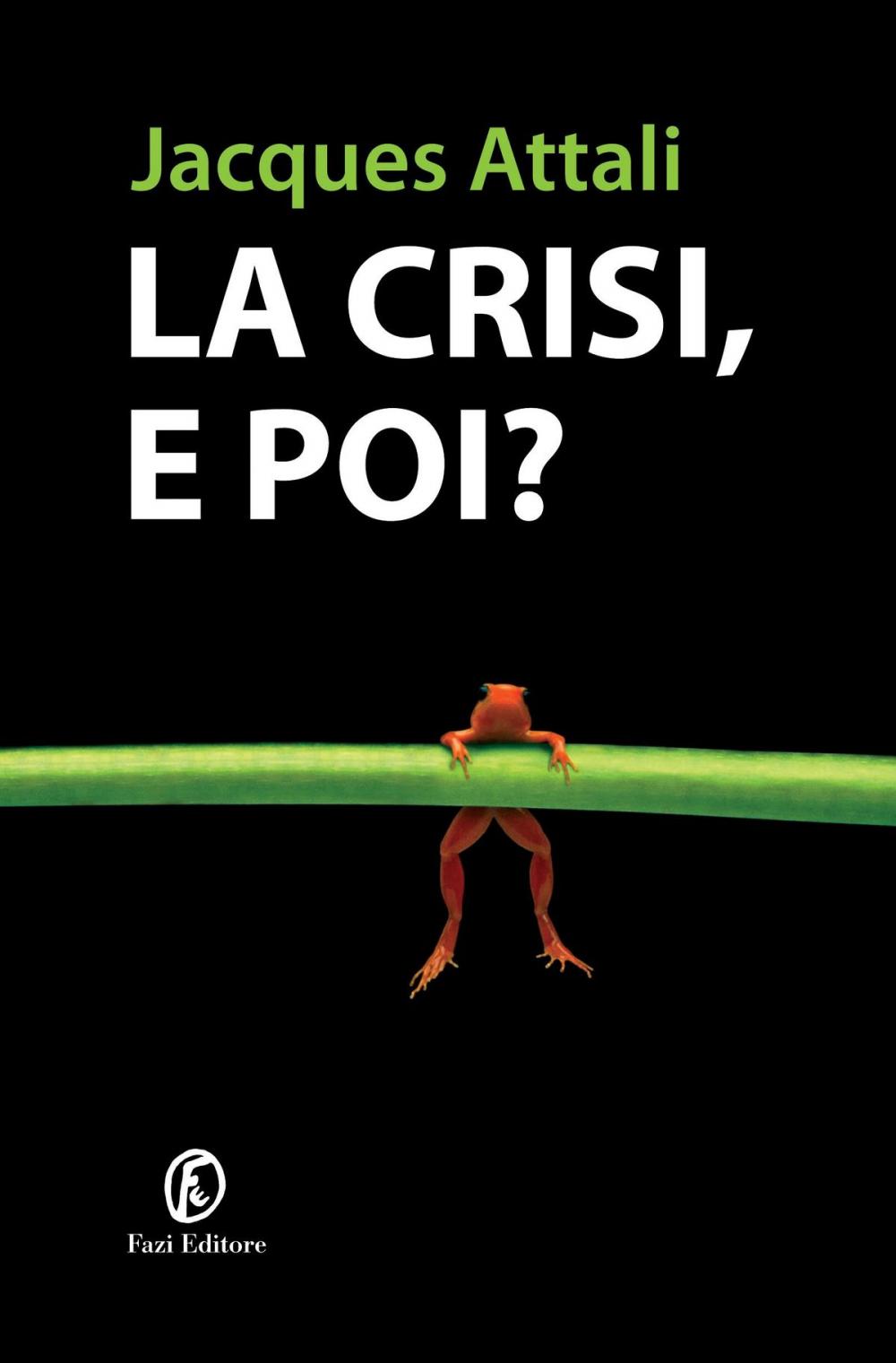 Big bigCover of La crisi, e poi?