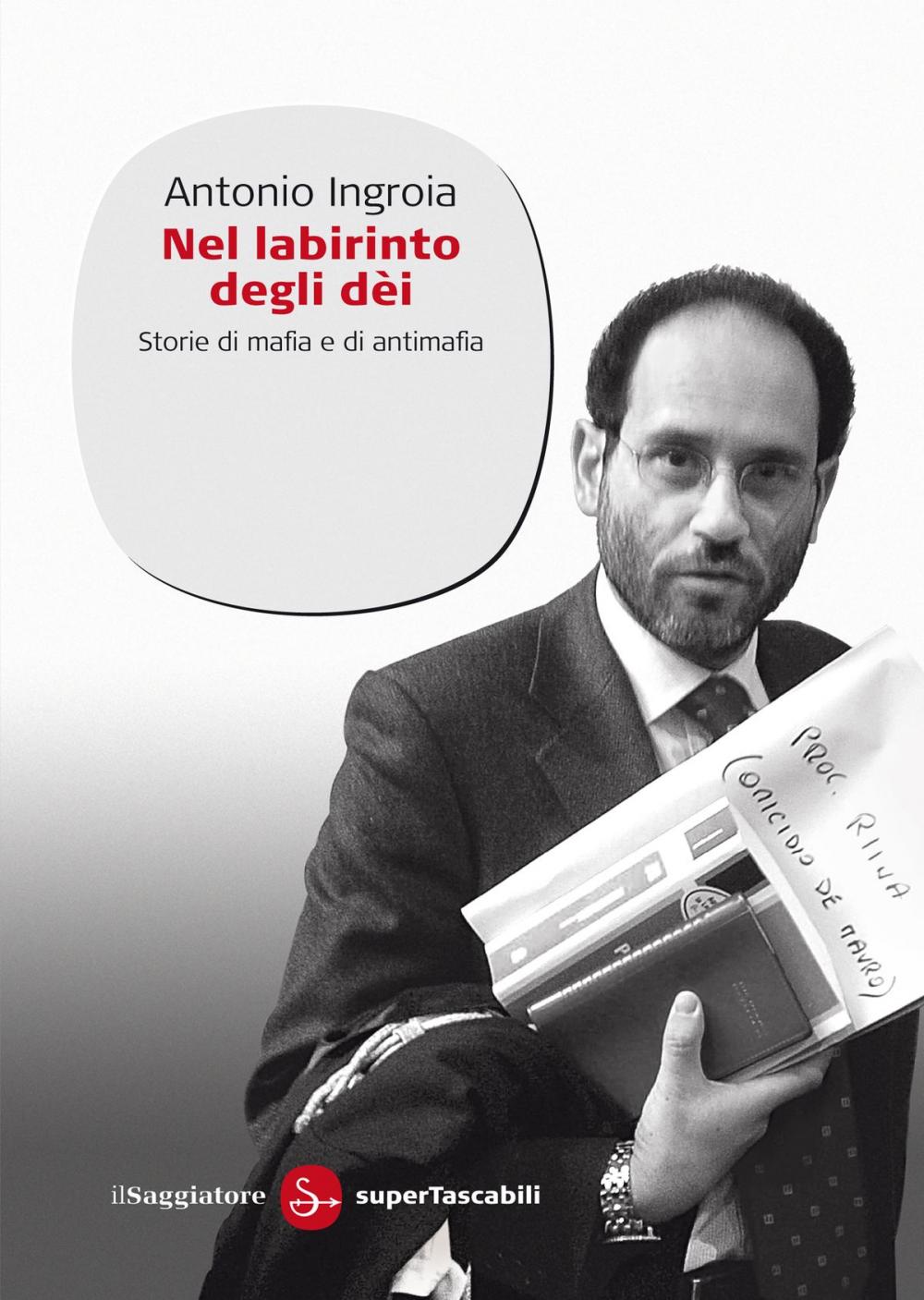 Big bigCover of Nel labirinto degli Dei