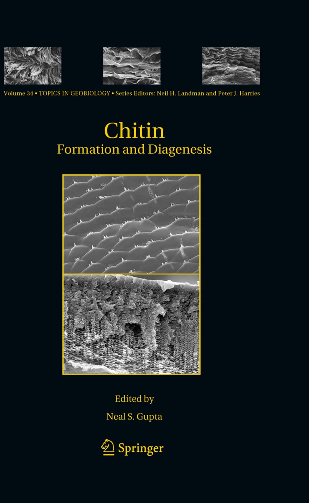 Big bigCover of Chitin